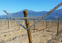 Vineyard Post For sales